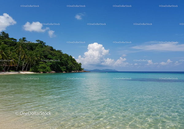 Tropical Beach with Lush Greenery and Crystal Clear Water