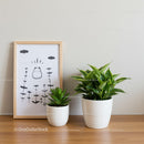 Indoor Greenery with Potted Plants and Modern Home Decor