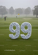 Number 99 sculpted with golf balls on green course