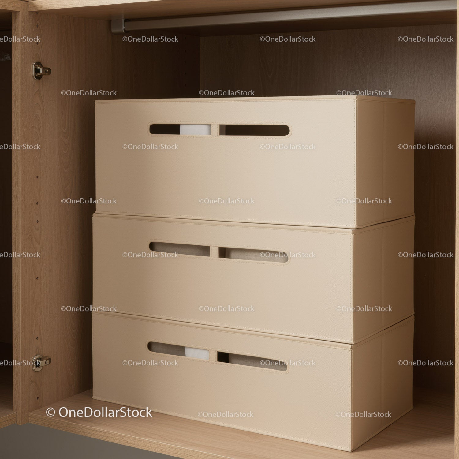 Minimalist Beige Storage Boxes in Wooden Closet for Organization