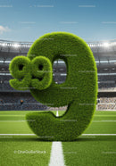 Grass Covered Number Nine with Degree Symbols on Football Field