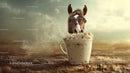 Cute Brown Horse Foal Drinking from Mug in Outdoor Scene