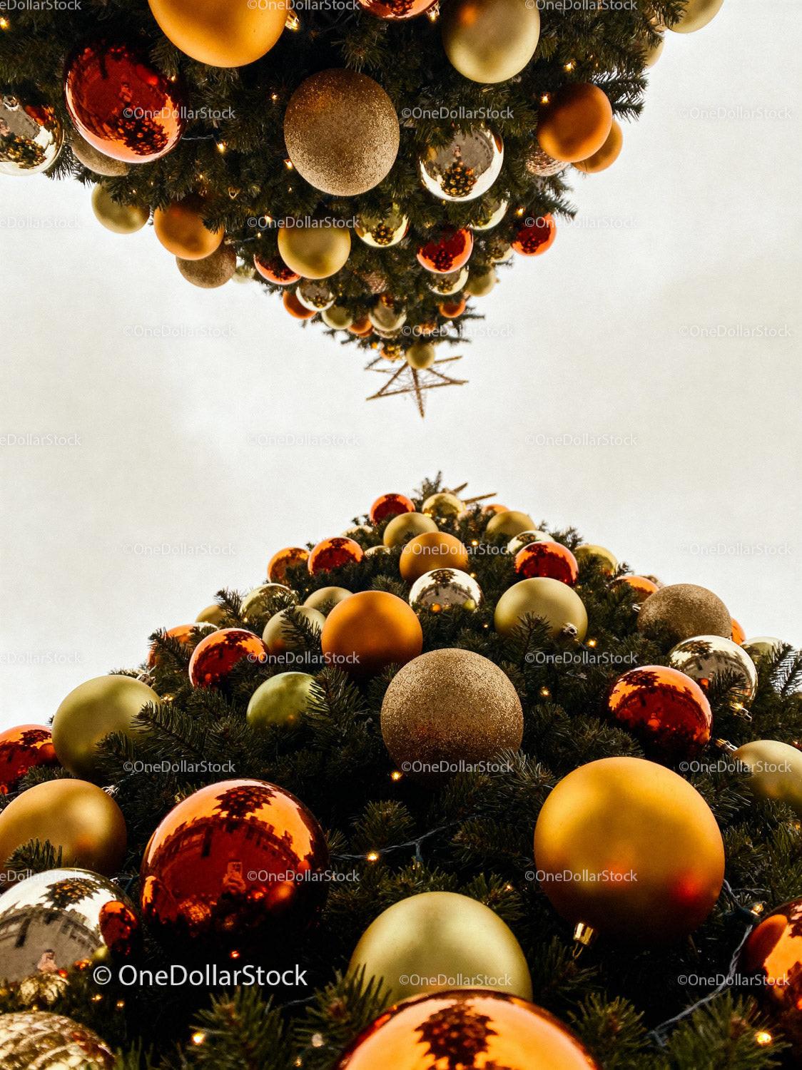 View Looking Up at Decorated Christmas Tree with Ornaments