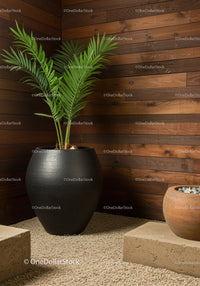 Indoor Large Potted Tropical Palms in Modern Wooden Interior