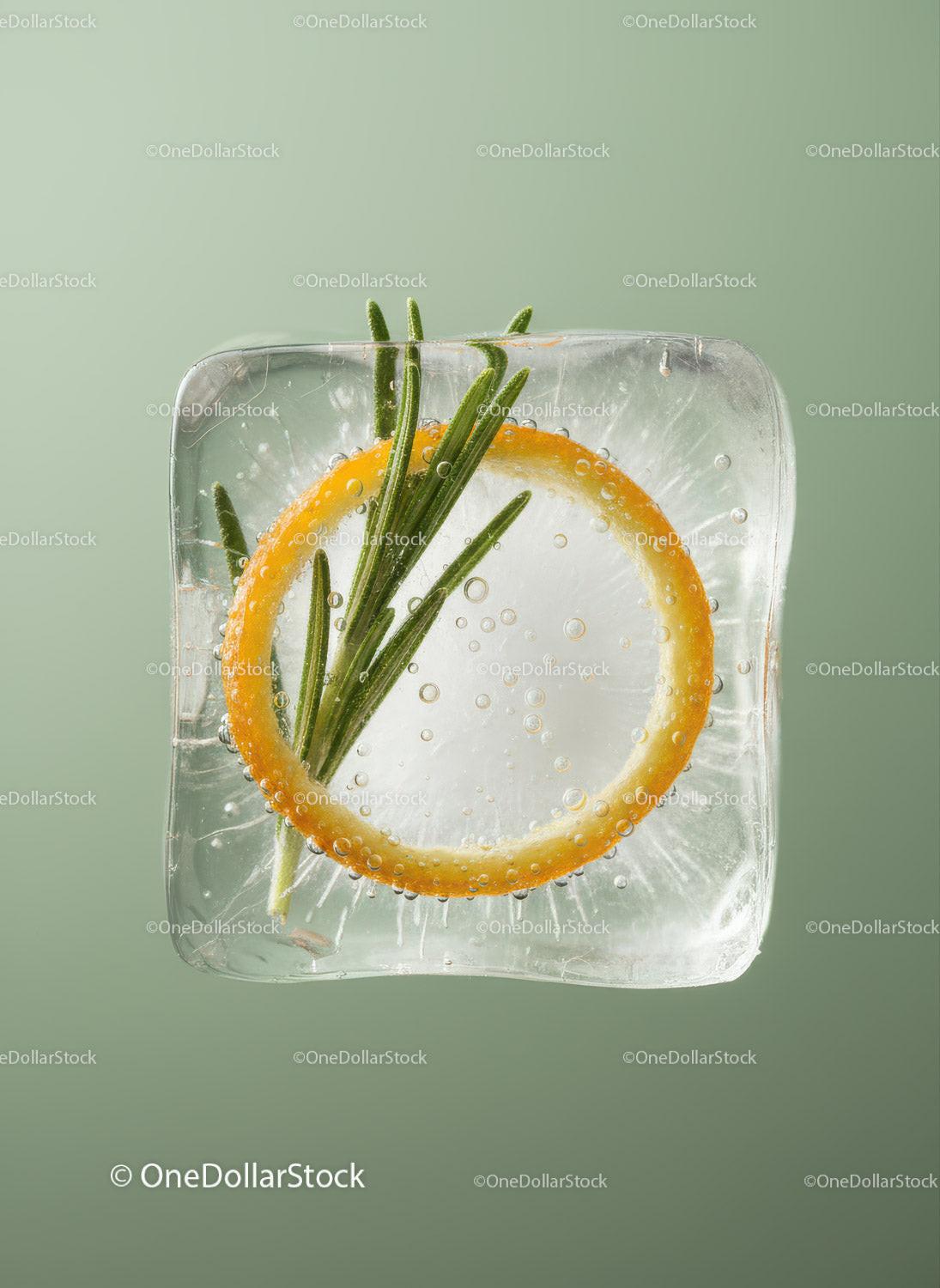 Ice cube with lemon slice and rosemary sprig