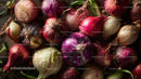 Colorful Onion Bulbs Freshly Harvested in Rustic Kitchen Scene
