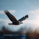 Majestic Bald Eagle in Flight Over Nature Scene
