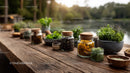 Herbal Collection in Mason Jars on Wooden Table by Lake