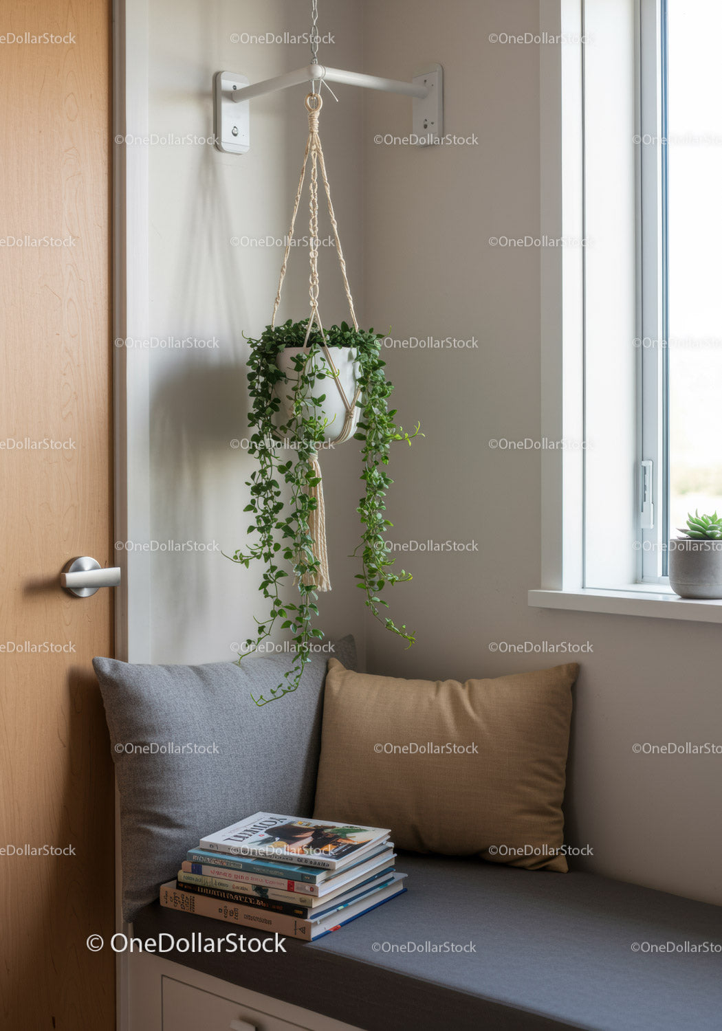 Indoor Hanging Plant in Cozy Window Corner with Cushions and Books
