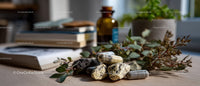 Decorative Stones and Indoor Plant on Wooden Desk in Modern Office