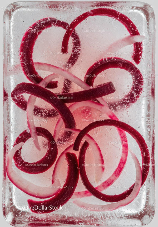 Red Onion Rings Encased in Clear Ice Cube