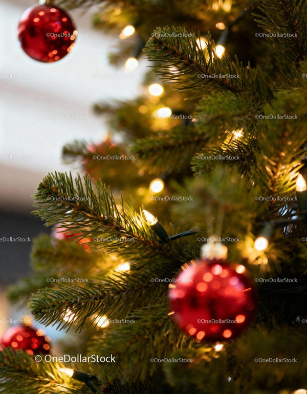 Close up of Christmas tree with red baubles and lights