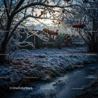 Frosty winter morning with icy branches and frozen stream