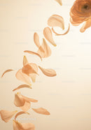 Soft peach rose petals drifting in gentle light
