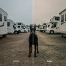 color grading preview with Cinema LUT Pack