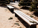 Empty benches near decorated outdoor Christmas trees