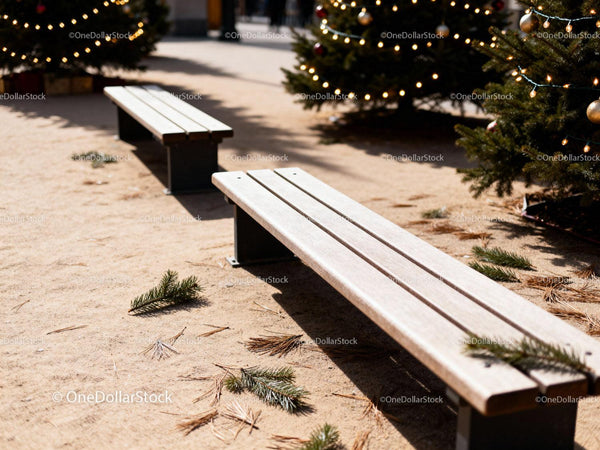 Empty benches near decorated outdoor Christmas trees