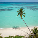 Lonely Traveler on a Tropical Beach Under a Palm Tree