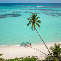 Lonely Traveler on a Tropical Beach Under a Palm Tree