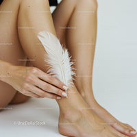 Woman's Hands Holding White Feather with Soft Skin and Minimalist Background