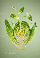 Fresh romaine lettuce leaves submerged in water