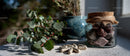 Decorative Green Foliage, Colorful Stones and Ceramic Vase