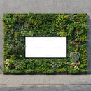 Urban Green Wall Frame with Vibrant Plant Variety