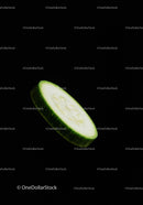 Fresh cucumber slice isolated on black background