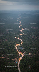 Scenic Winding Road Through Dense Green Forest with Mountain Horizon