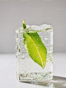 Fresh green leaf frozen inside a clear ice cube