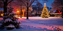 Snowy Evening with Illuminated Christmas Tree in Park