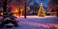Snowy Evening with Illuminated Christmas Tree in Park