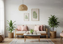 Cozy living room with natural decor and soft cushions