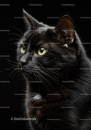 Black cat with piercing yellow eyes on dark background