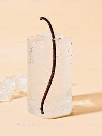 Vanilla bean frozen inside clear ice cube on beige