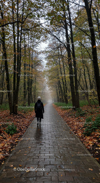 Person walking alone on a wet autumn forest path
