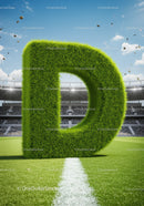 Large Grass Letter D on Football Field with Crowd
