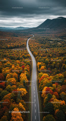 Scenic Mountain Road Surrounded by Autumn Foliage and Dense Forests