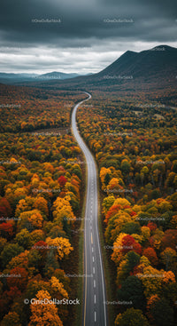 Scenic Mountain Road Surrounded by Autumn Foliage and Dense Forests