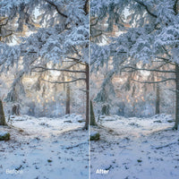 creative photo edit with Serene Cold Atmosphere Lightroom presets