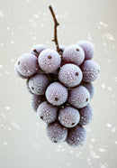 Frozen purple grapes with fresh icy frost closeup