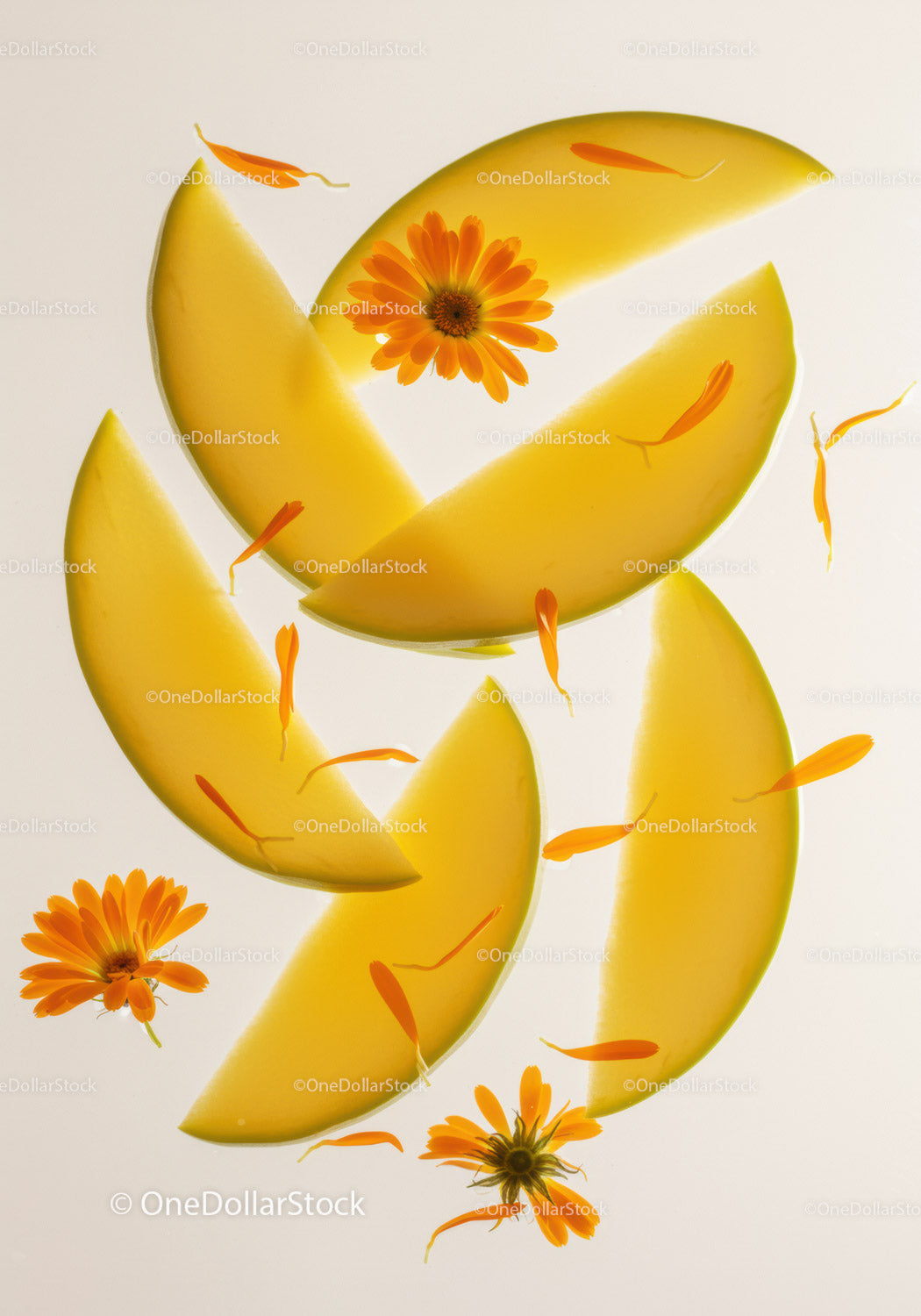 Fresh melon slices with bright orange flowers and petals