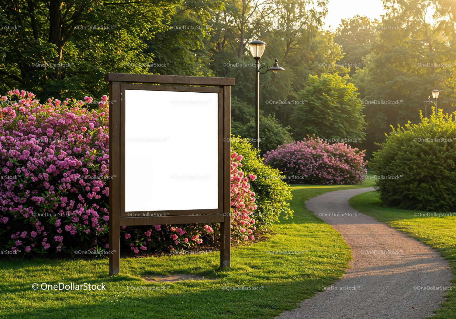 Empty wooden signboard in blooming park at sunset