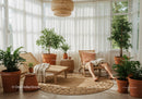 Relaxing indoor garden nook with natural light and plants
