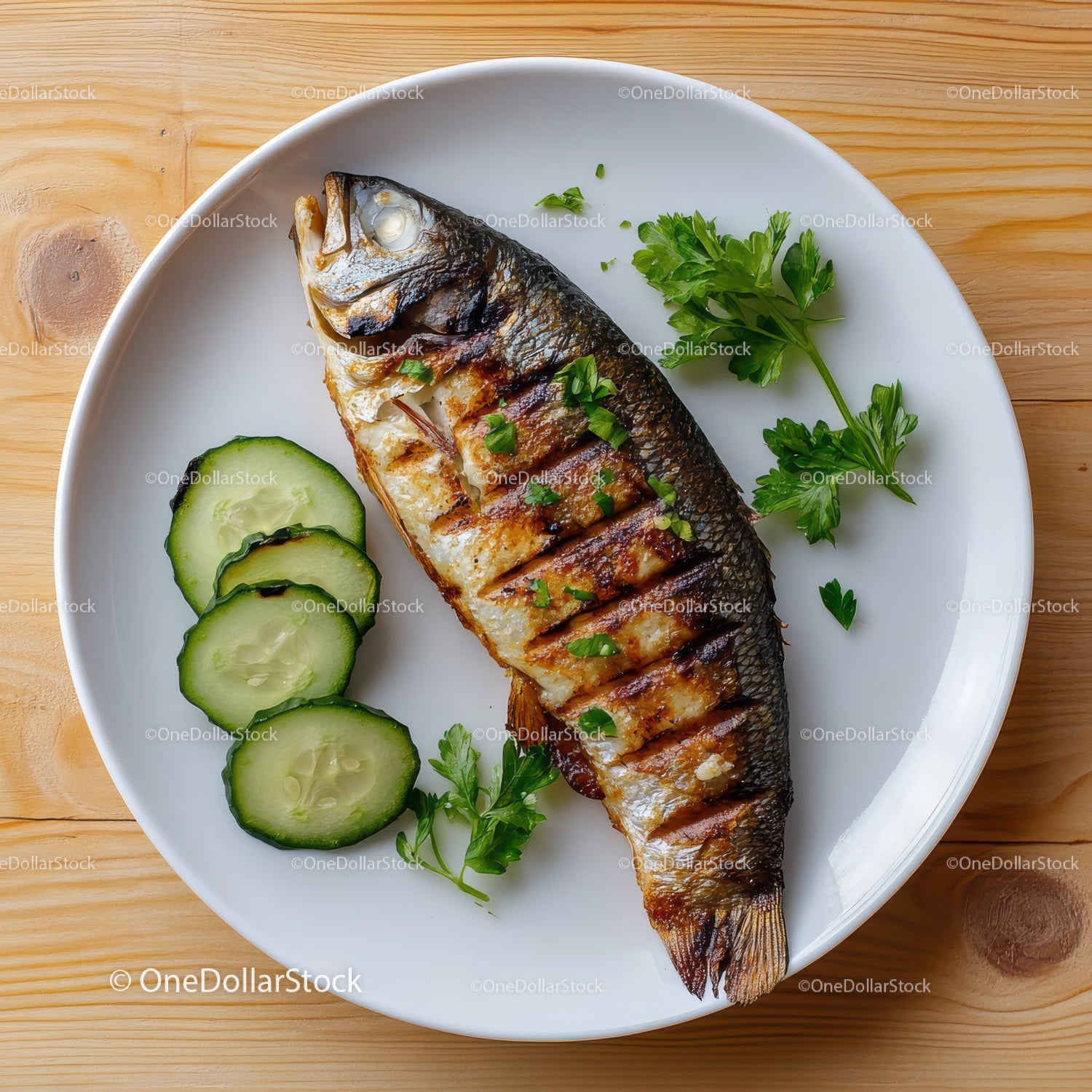 Grilled Fish with Cucumber Slices and Parsley Garnish on White Plate