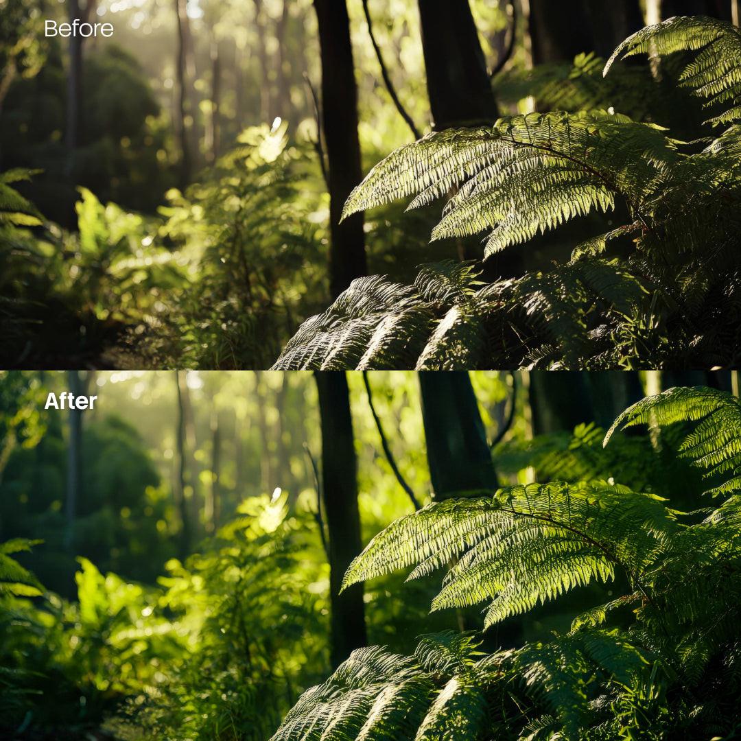 Before and after Forest Glow Soft Lightroom preset edit