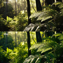 Before and after Forest Glow Soft Lightroom preset edit