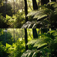 Before and after Forest Glow Soft Lightroom preset edit