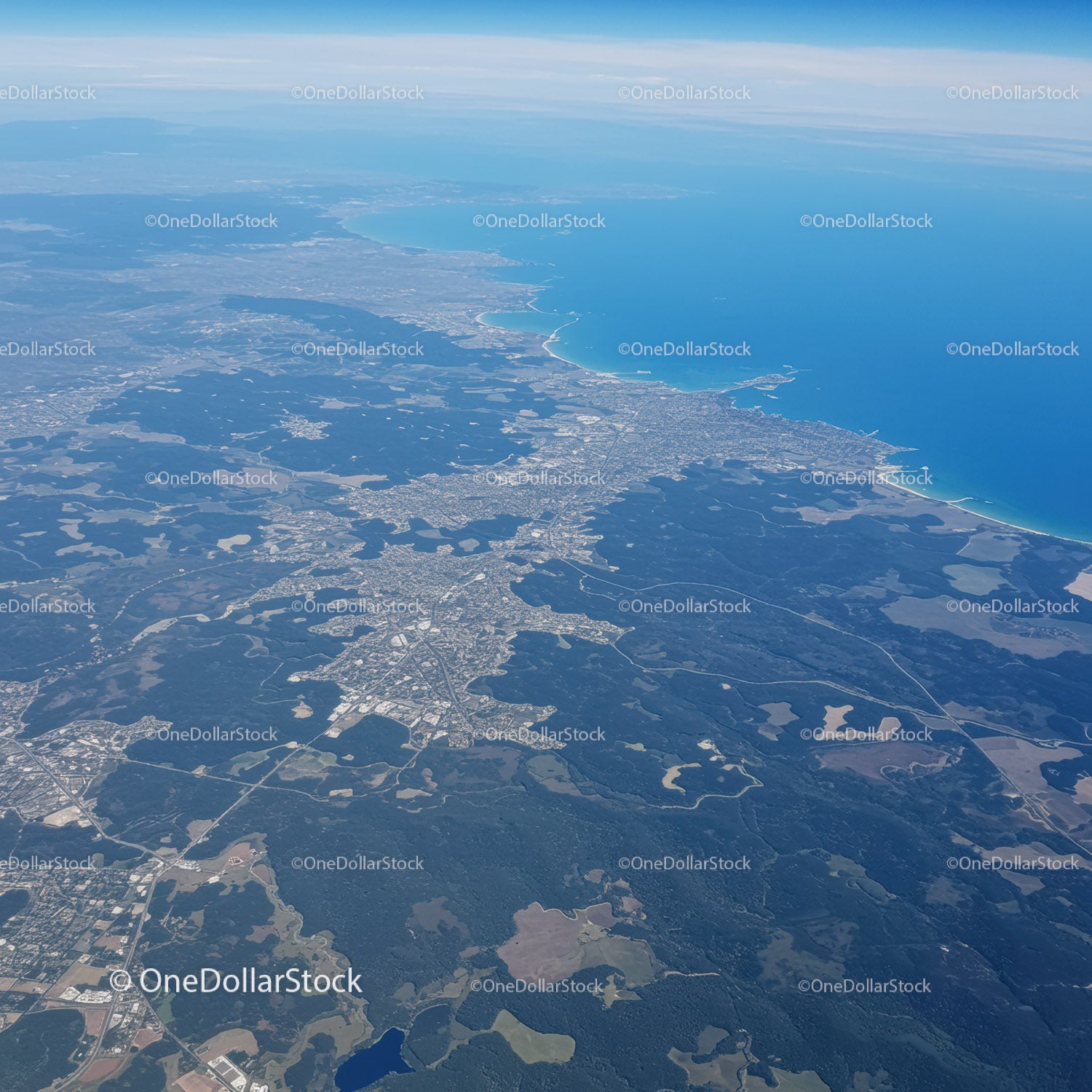 Widok z lotu ptaka na krajobraz wybrzeża z lasami i linią brzegową oceanu