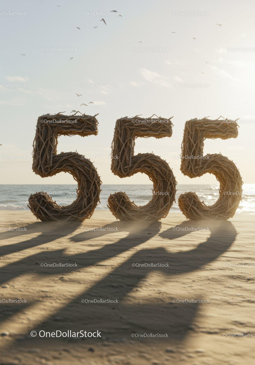 Natural Driftwood Numbers on Sandy Beach at Sunset